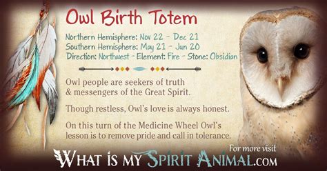 The Significance of Owls in Native American Dreamlore