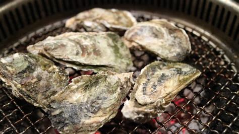 The Significance of Oyster Shells in Dreams from a Psychological Perspective