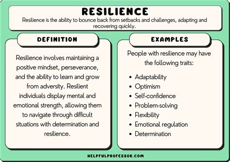 The Significance of Persistence and Resilience