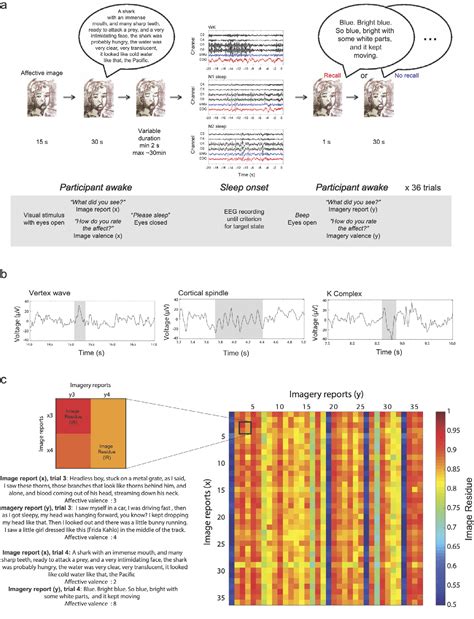 The Significance of Personal Memories and Associations in Name Reverberations during Sleep