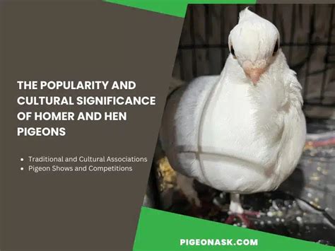 The Significance of Pigeons in Human Culture Throughout History