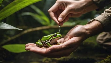 The Significance of Preserving Amphibians