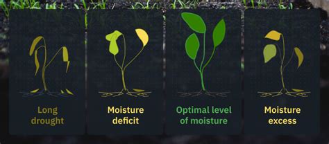 The Significance of Proper Moisture