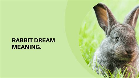 The Significance of Rabbits in Dream Interpretation in Relation to Fertility