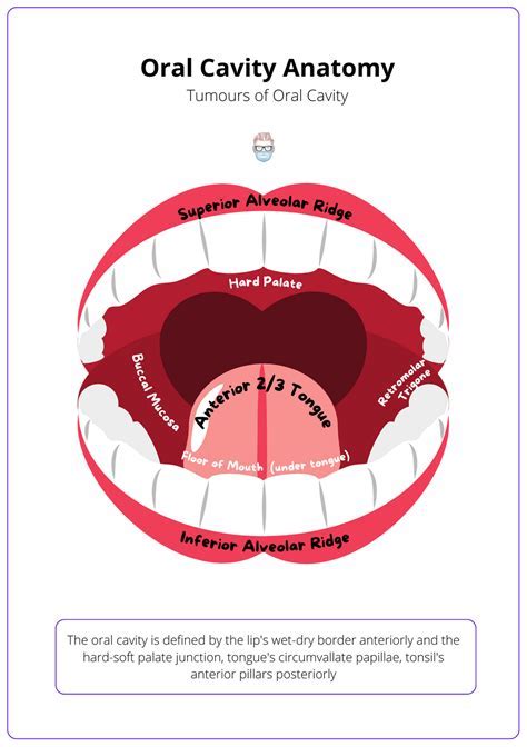 The Significance of Retrieving Items from the Oral Cavity: Significance and Interpretation