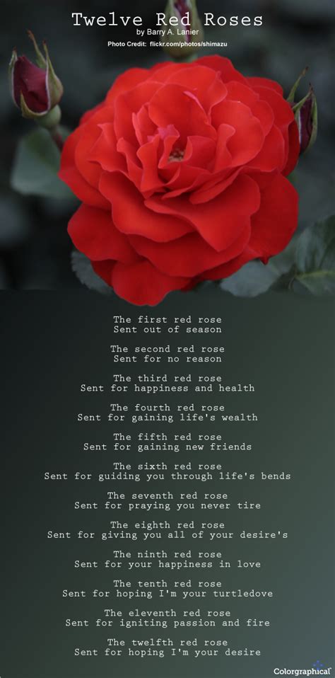 The Significance of Roses in Literature and Poetry