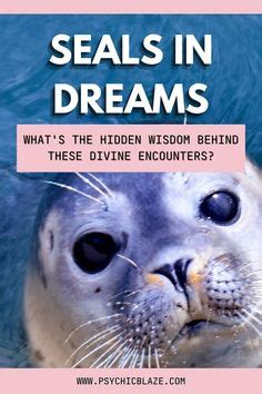 The Significance of Seals in the Depths of the Mind