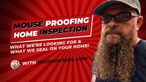 The Significance of Securing Your House against Mouse Intrusion