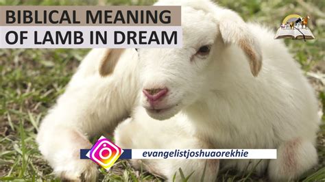 The Significance of Sheep Biting in Dreams