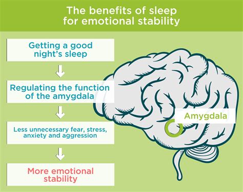 The Significance of Sleep and Dreaming in Emotion and Relationship Processing