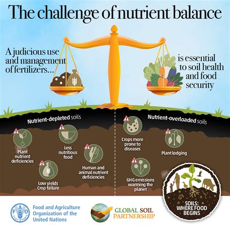 The Significance of Soil Quality and Nutrient Balance