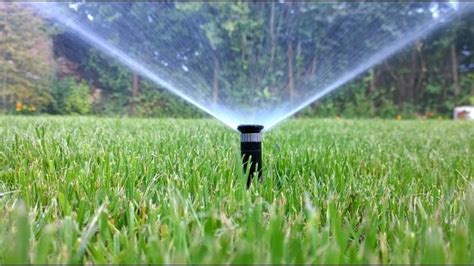 The Significance of Sprinklers in Analyzing Dreams