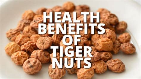 The Significance of Tiger Nut in Maintaining Cardiovascular Health