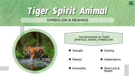 The Significance of Tigers in Symbolism