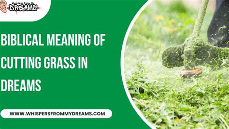 The Significance of Treading on Moist Turf in Dreams as a Representation of Rejuvenation and Progress