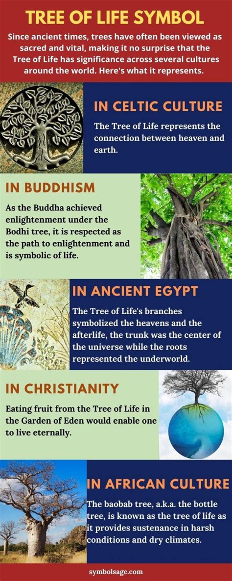 The Significance of Trees in Various Cultures