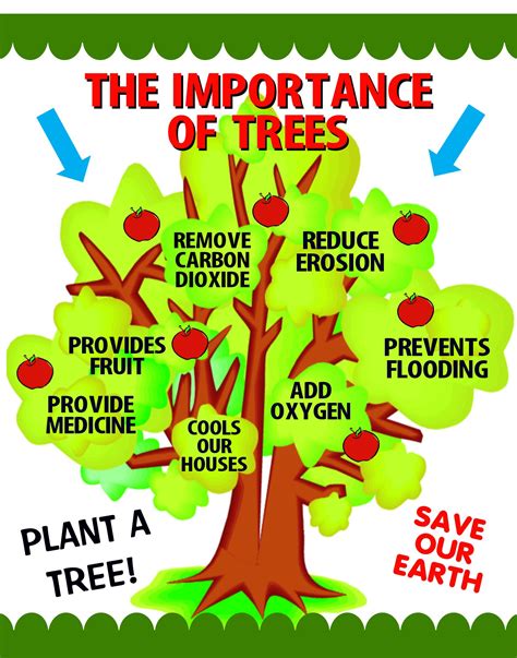 The Significance of Trees in the Ecosystem