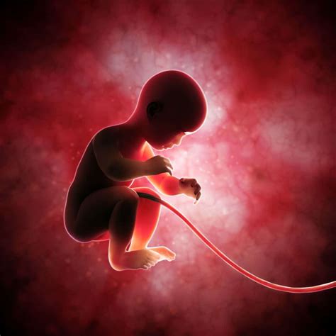 The Significance of Umbilical Cords in Dreams