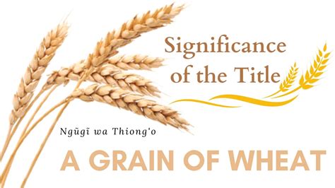 The Significance of Untreated Grain in Fantasies