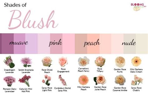 The Significance of Various Shades of Blushing Flowers