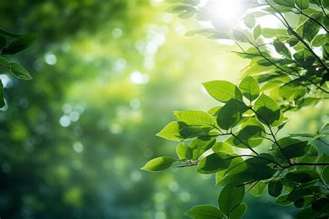 The Significance of Verdant Foliage: Embracing Optimism and Rebirth