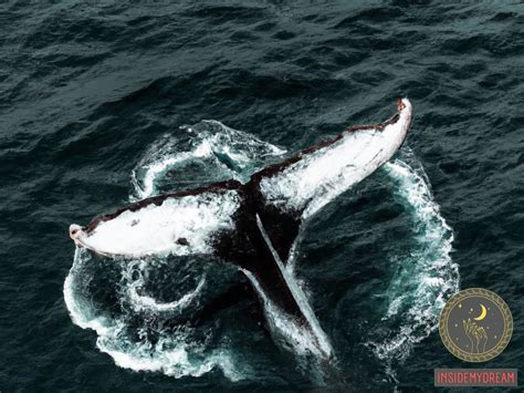 The Significance of Whales: Decoding the Meaning behind the Act of Seizing