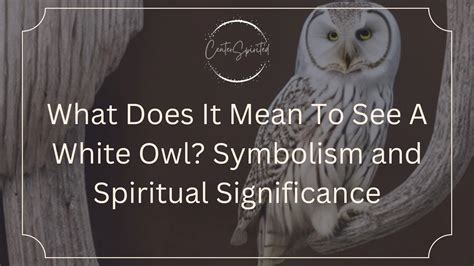 The Significance of White Owls in Folklore and Mythology