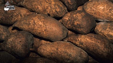 The Significance of Yam Harvesting: Exploring the Symbolism