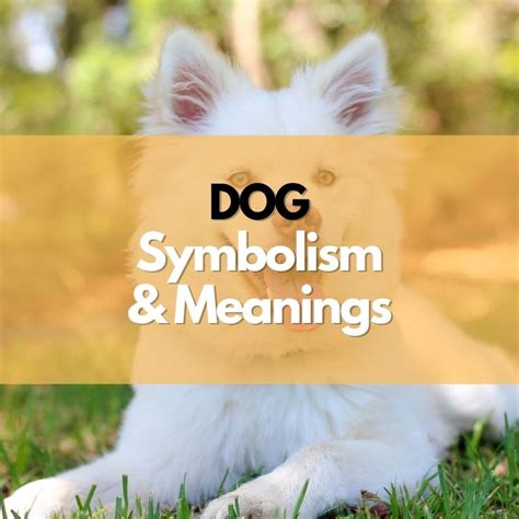 The Significance of a Canine: Exploring Symbolic Meanings