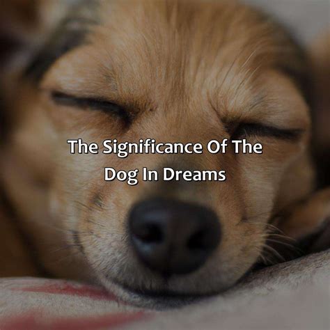 The Significance of a Descending Young Canine in Dreams