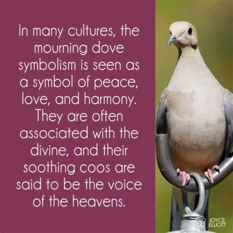 The Significance of a Slumbering Dove in Dreams