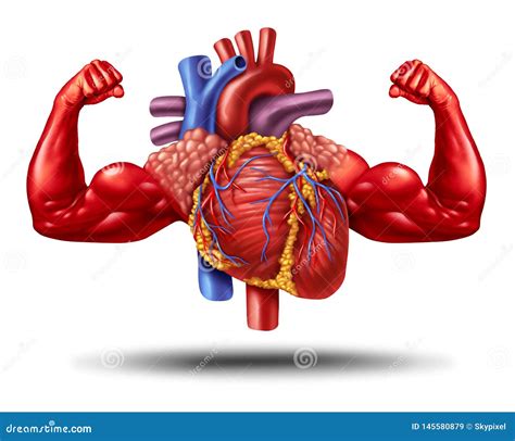 The Significance of a Strong Cardiac Organ for Achieving Your Aspirations