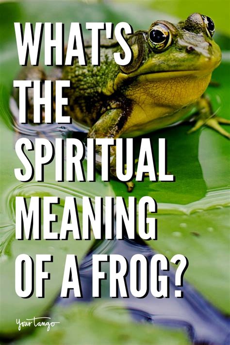 The Significance of an Expectant Frog