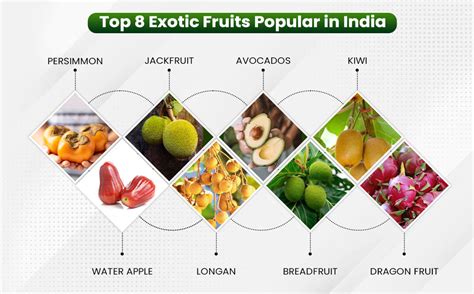 The Significance of the Exotic Fruit in Indian Culture