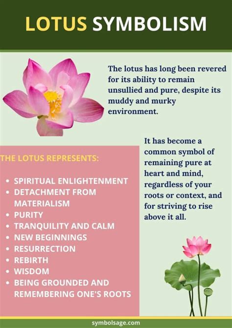 The Significance of the Holy Lotus Seed in Eastern Faiths