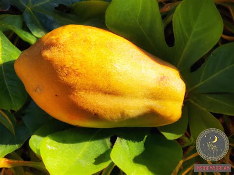 The Significance of the Pawpaw in Various Cultures