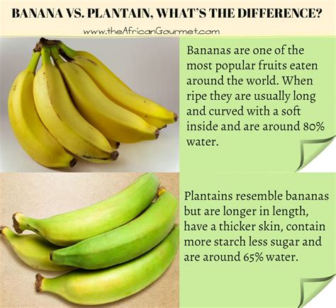 The Significance of the Plantain Fruit in Culture