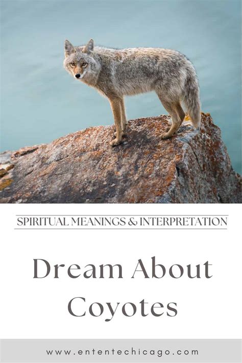 The Significance of the Red Coyote in Literary Works: Examination and Interpretation