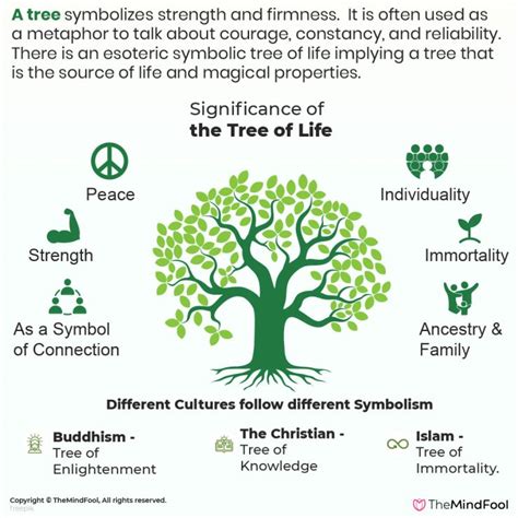 The Significance of the Stolen Tree as a Symbol in Dreams