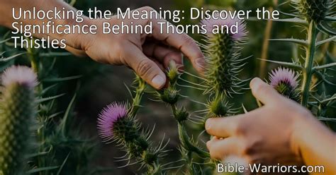 The Significance of the Thorn in Your Finger: Exploring its Dream Meaning