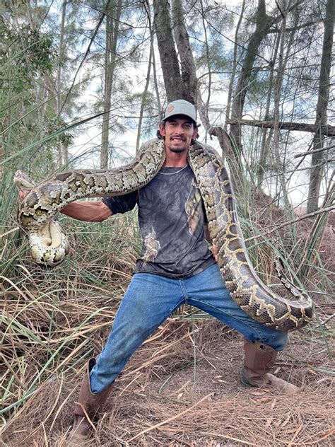 The Skillful Hunting Techniques of Pythons