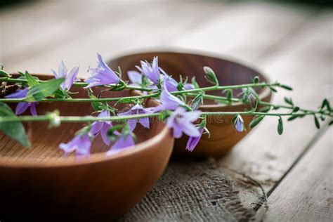 The Soothing and Restorative Properties of Sun-Colored and Ivory Blossoms in Herbal Remedies