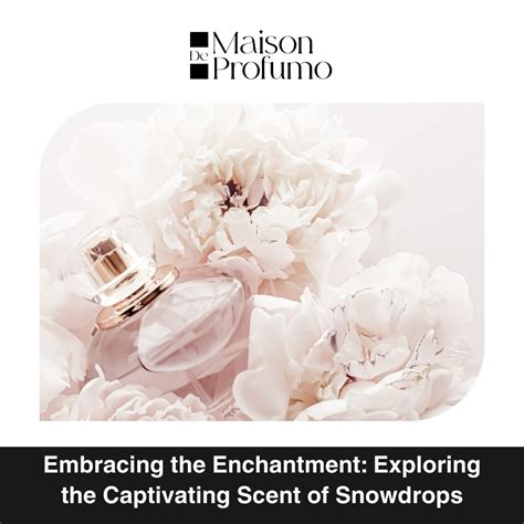 The Spellbinding Potential of Scent: Embracing the Enchantment of Fragrance