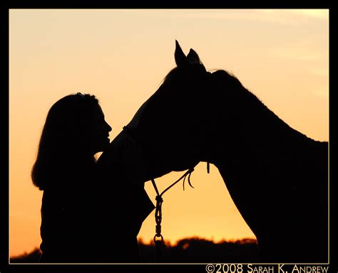 The Spiritual Bond Between Humans and the Magnificent Horse