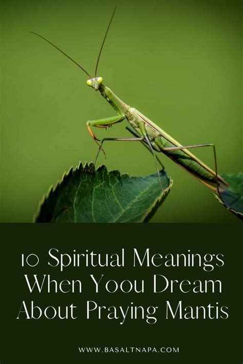 The Spiritual Connection: Exploring the Significance of Dreaming about a Praying Mantis Attack in Relation to Personal Growth and Transformation