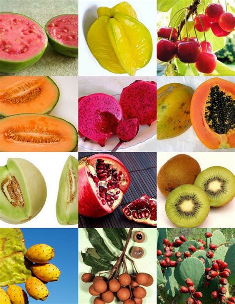 The Spiritual Journey of a Tropical Fruit: From Seed to Fruit