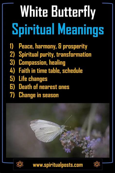 The Spiritual Meaning of White Butterflies