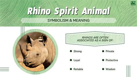 The Spiritual Significance and Healing Properties of the Rhino Horn