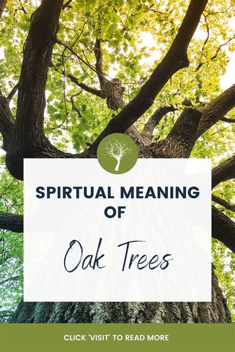 The Spiritual Significance of Oak Trees in Various Religions