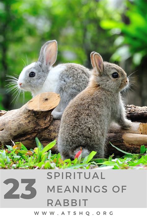 The Spiritual Significance of the White Hare in Various Belief Systems